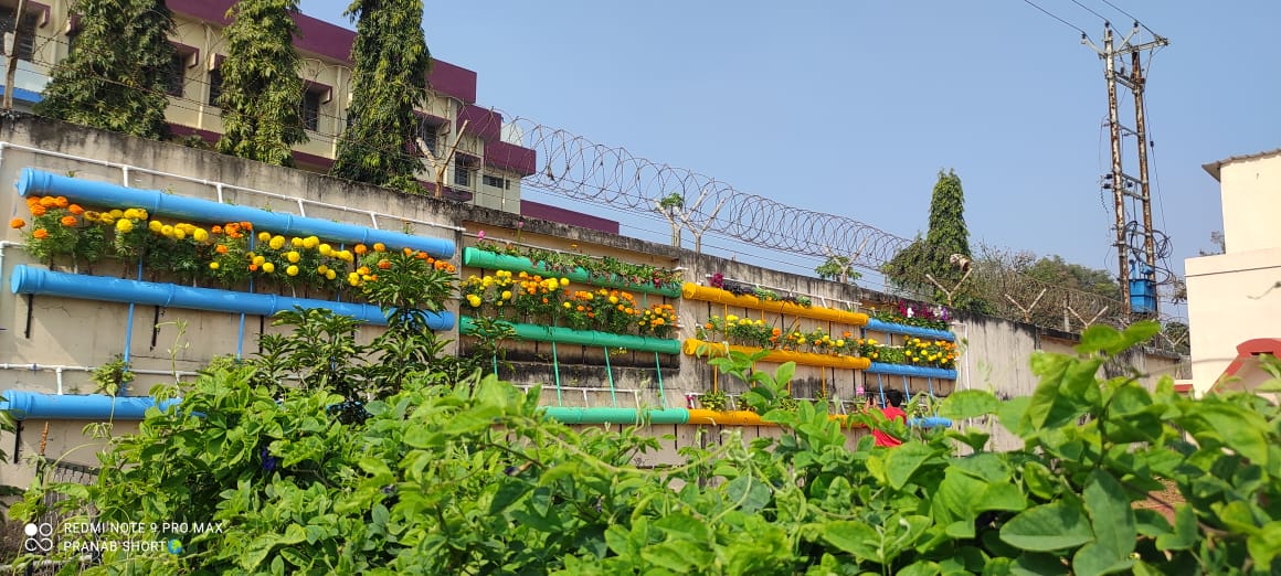Environmental Action